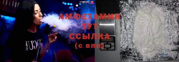 молекула духа Бородино