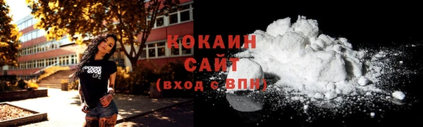 молекула духа Бородино