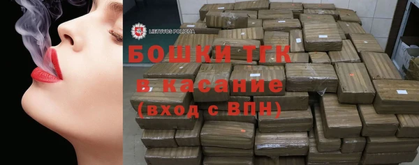 молекула духа Бородино