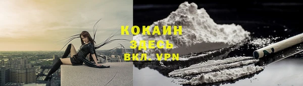 тгк Богданович