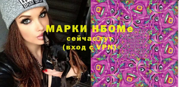молекула духа Бородино