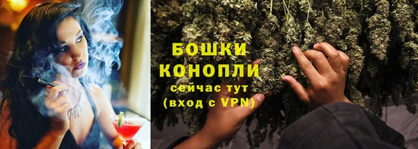 молекула духа Бородино