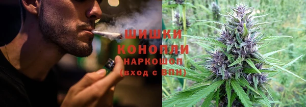 тгк Богданович